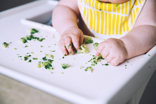 Piureurile și alimentele în formă de bastonașe sau degețele (Finger Food): care este cea mai bună variantă pentru a hrăni bebelușul?