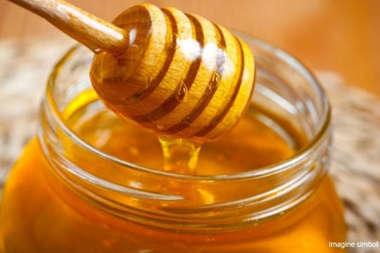 Mierea este unul dintre cele mai falsificate alimente din lume. Cum să o diferențiezi pe cea naturală