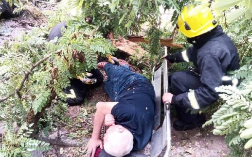 Consecințele vântului: Pompierii au salvat un bărbat blocat sub un arbore căzut