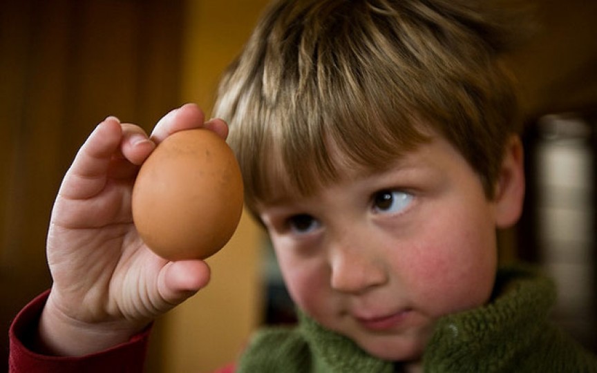 Alergia copiilor la ou – cum o recunoști