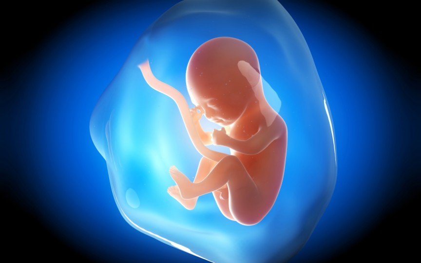 Medic obstetrician-ginecolog despre lichidul amniotic: ce rol are și ce este anormal