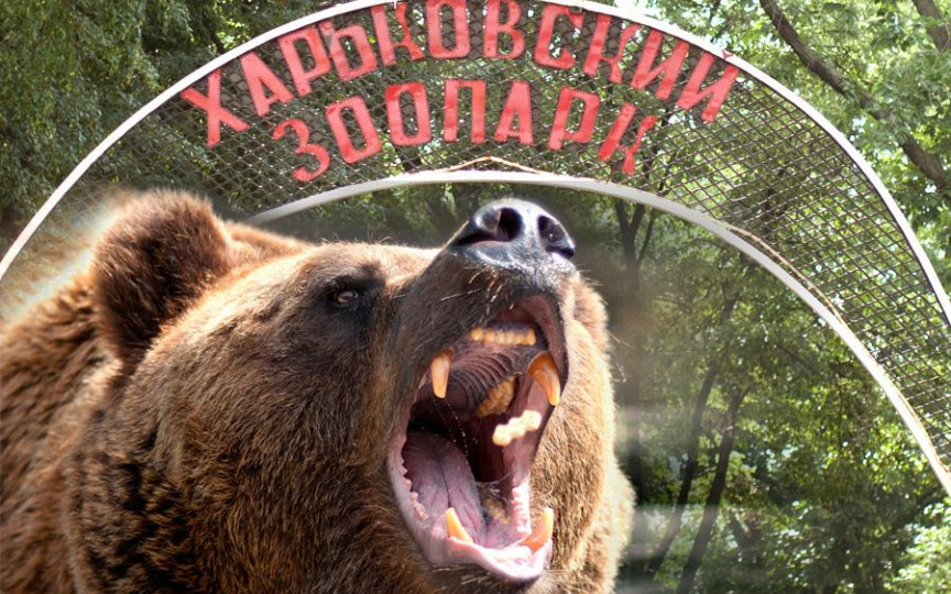 Angajații Grădinii Zoologice din Harkov, uciși de soldații ruși, după ce au rămas să îngrijească animalele