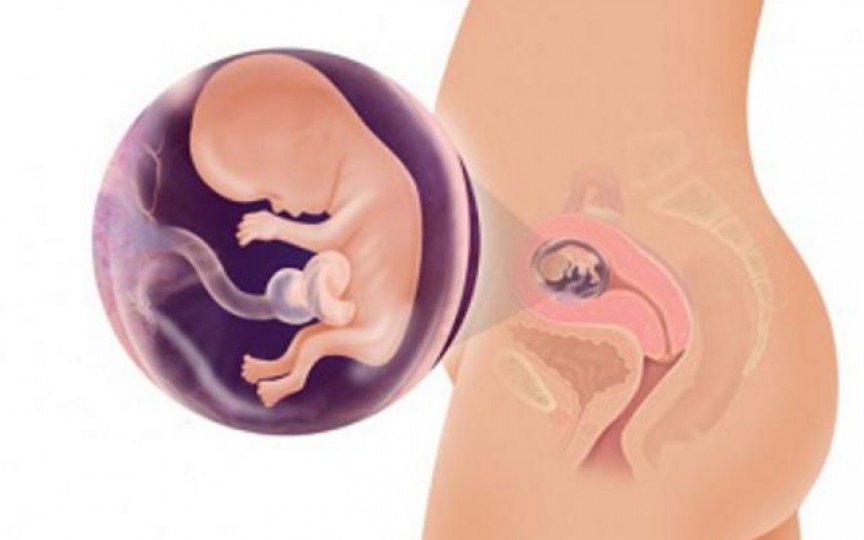 Medic obstetrician-ginecolog: Cele mai importante riscuri și pericole din primul trimestru de sarcină