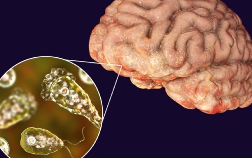 Un copil de 7 ani a murit după ce s-a infectat cu o amibă care se hrănește cu creierul uman