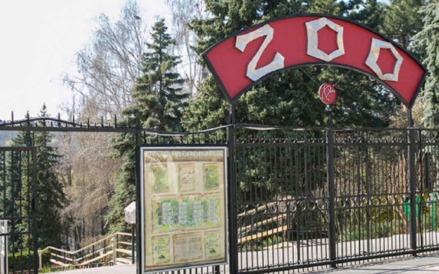 De 1 iunie, intrarea la Grădina Zoologică pentru copiii până la 16 ani va fi gratuită