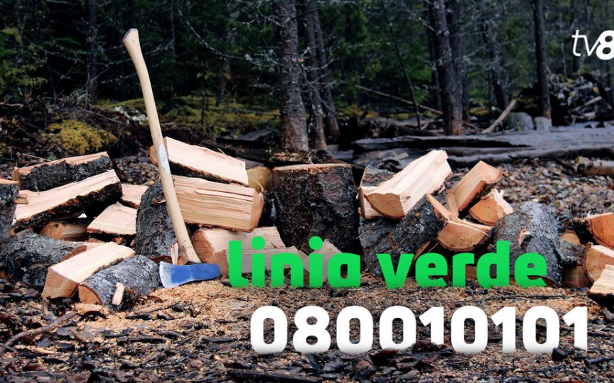 Linia verde pentru suport informațional privind lemnele de foc, funcțională. Perioada în care este disponibilă