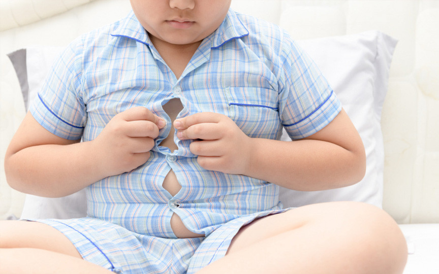 Otrava ascunsă din farfuria copiilor: Substanțe care favorizează obezitatea infantilă, chiar și în alimentele sănătoase