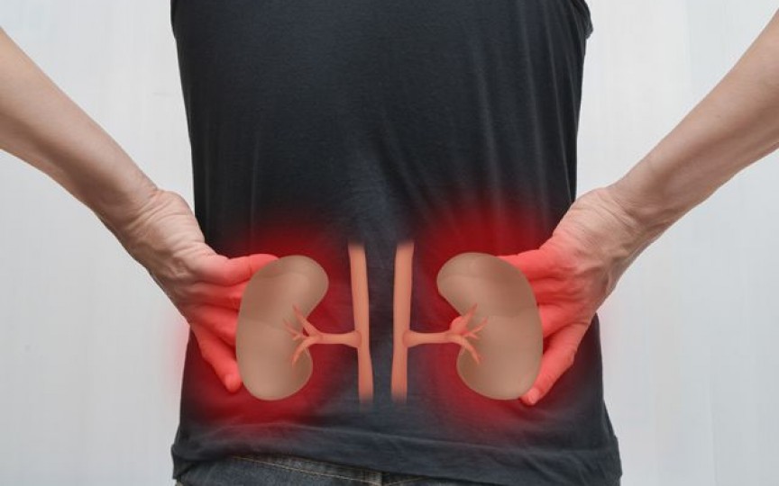 Ce este important să știi despre bolile de rinichi