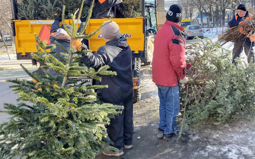 Brazii lăsați la platformele de colectare a deșeurilor vor fi reciclați