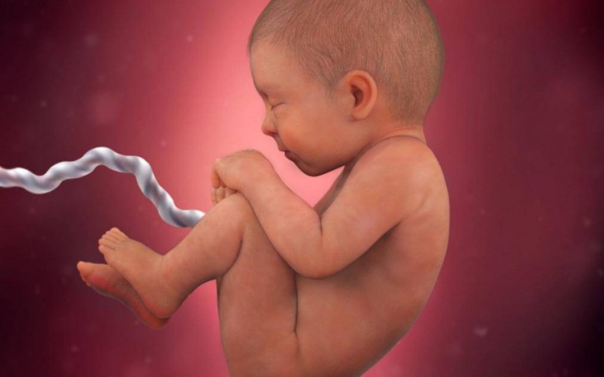 Studiu: Malformațiile congenitale la nou-născuți pot fi asociate cu consumul de alcool al tatălui