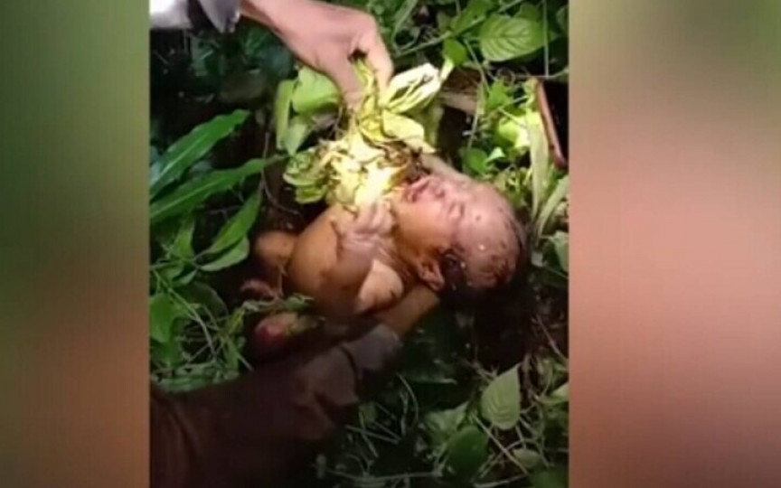 O fetiță de 2 zile a fost abandonată de mamă într-o pădure: Avea viermi și insecte ce i se târau pe corp