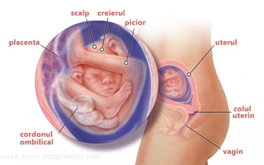 Medic obstetrician-ginecolog despre schimbările după naștere: În sarcină uterul se mărește de 50 de ori