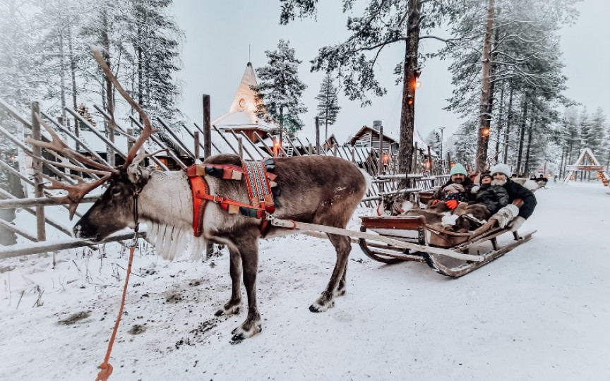 Dana Rogoz despre excursia în Laponia: Mi s-au împlinit două mari dorințe ale vieții