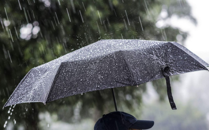 Ploile cu grindină și vântul puternic au făcut ravagii la Briceni și Edineț. Zeci de copaci, doborâți la pământ
