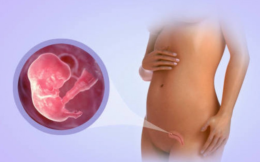 Simptomele precoce care indică apariția sarcinii