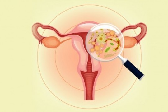 Medic obstetrician-ginecolog despre cistită și vaginită: Este dificil să faci diagnosticul diferențial, germenii nu cunosc bariere sau căi de propagare preferențială