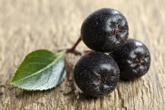 Fructe-minune care conțin mai mulți antioxidanți chiar și decât afinele