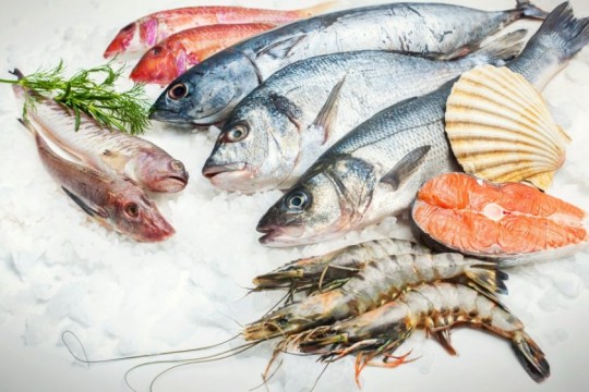 Ce tipuri de pește poți să consumi în timpul sarcinii