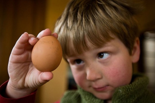 Alergia copiilor la ou – cum o recunoști