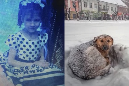 Miracol! O fetiță de 10 ani a supravețuit viscolului îmbrățișând un câine fără stăpân