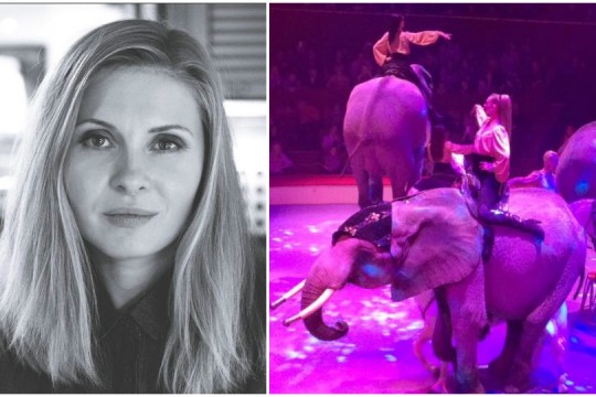 Scriitoarea Tatiana Țîbuleac despre circul cu animale arătat copiiilor. Un mesaj emoționant!