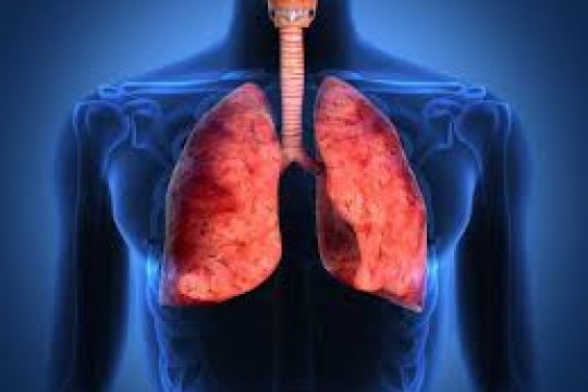 Cum ne afectează pneumonia și de ce este atipică cea provocată de COVID-19