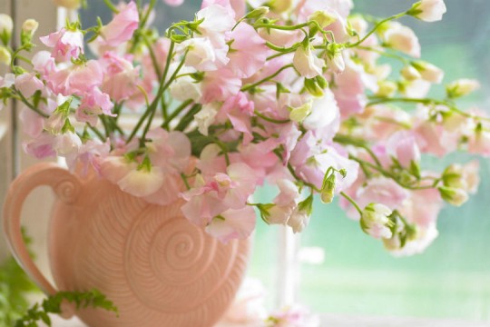 5 metode ușoare pentru a păstra florile vii mai mult timp proaspete