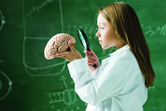 Top 7 alimentele care stimulează dezvoltarea creierului la copil