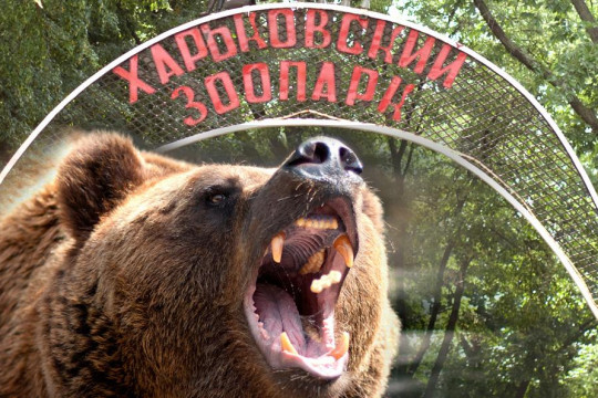 Angajații Grădinii Zoologice din Harkov, uciși de soldații ruși, după ce au rămas să îngrijească animalele