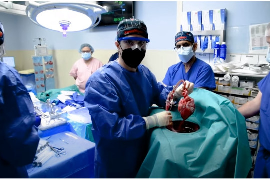 Transplant în premieră mondială: Un american a primit o inimă de porc
