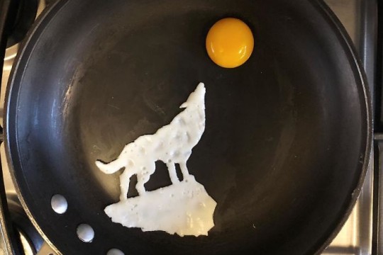 Un tânăr transformă mic dejunurile în adevărată artă