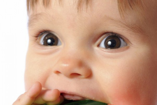 11 pași pentru a-ți liniști copilul când îl dor gingiile