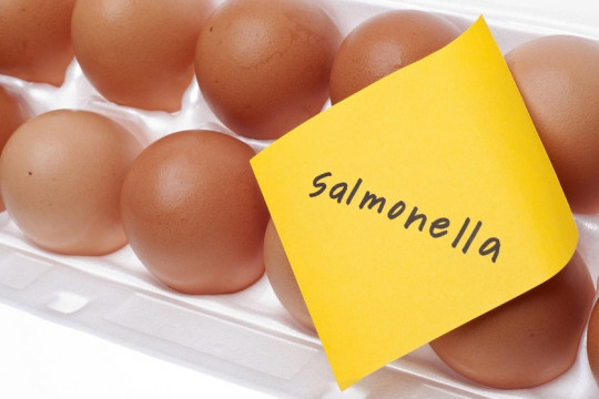 Infecția cu Salmonella, la copii: cauze, simptome și tratament