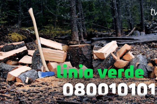 Linia verde pentru suport informațional privind lemnele de foc, funcțională. Perioada în care este disponibilă