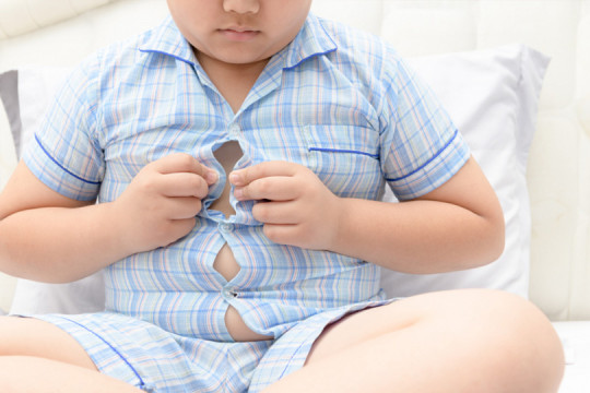 Otrava ascunsă din farfuria copiilor: Substanțe care favorizează obezitatea infantilă, chiar și în alimentele sănătoase