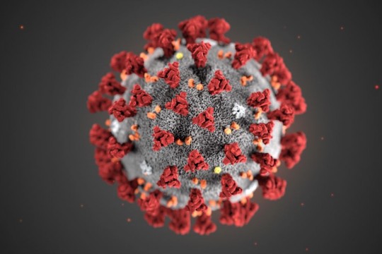 Peste 700 de oameni au murit din cauza unui leac fals împotriva coronavirusului