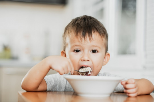 Importanța zincului în dezvoltarea copilului. 6 cele mai bune alimente bogate în zinc