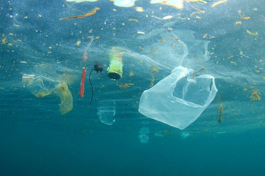 O mamă care încearcă să reducă consumul de plastic, vine cu unele concluzii la 4 luni de „viață nouă”