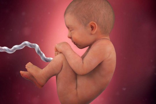 Studiu: Malformațiile congenitale la nou-născuți pot fi asociate cu consumul de alcool al tatălui
