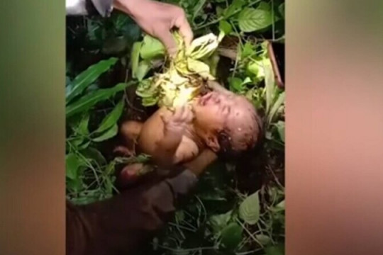 O fetiță de 2 zile a fost abandonată de mamă într-o pădure: Avea viermi și insecte ce i se târau pe corp