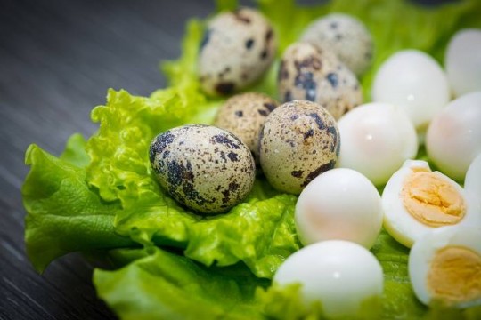 Beneficiile incontestabile pentru sănătate ale oului de prepeliță