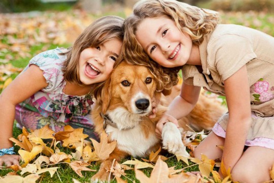 11 fotografii care arată că cei mici ar trebui să aibă un câine