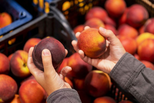 Diferența dintre piersici și nectarine: Gust, coajă și utilizare în bucătărie