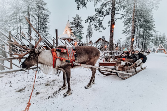 Dana Rogoz despre excursia în Laponia: Mi s-au împlinit două mari dorințe ale vieții