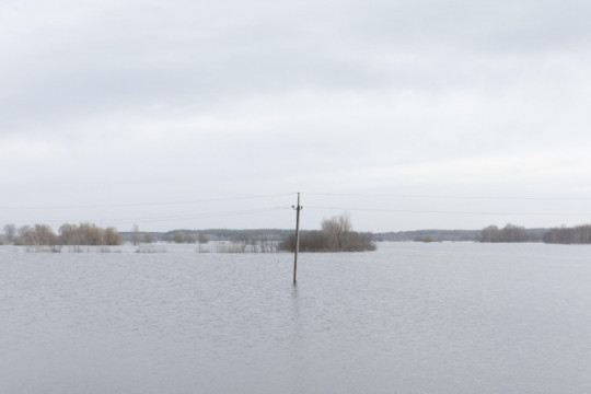 Și-au inundat propriul sat și i-au blocat pe ruși. Tactica neobișnuită prin care ucrainenii din Demydiv au salvat Kievul
