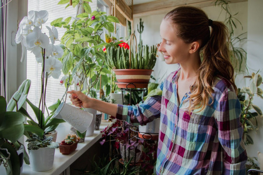 Este bine să uzi florile cu apă caldă? Află răspunsul de la un expert