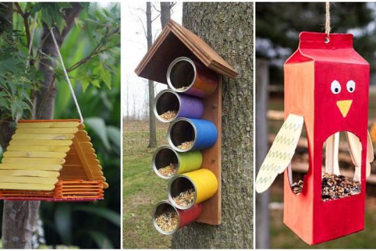 (FOTO) 8 idei interesante de căsuțe pentru păsări, care pot fi făcute împreună cu copiii