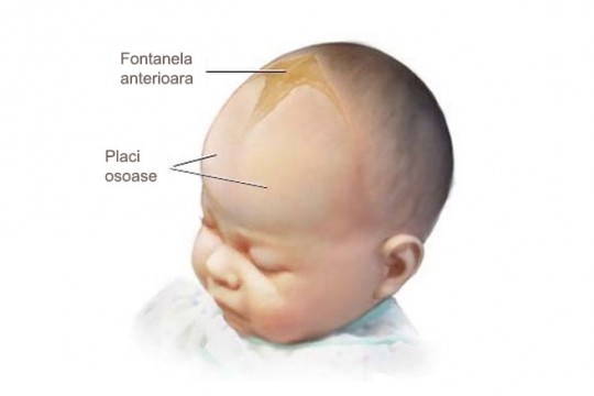 Fontanela bebelușului: Tipurile acesteia, când se închide și ce anomalii poate avea