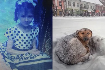Miracol! O fetiță de 10 ani a supravețuit viscolului îmbrățișând un câine fără stăpân