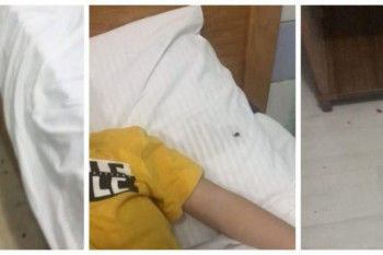 Imagini incredibile: Gândacii forfotesc în paturile copiilor